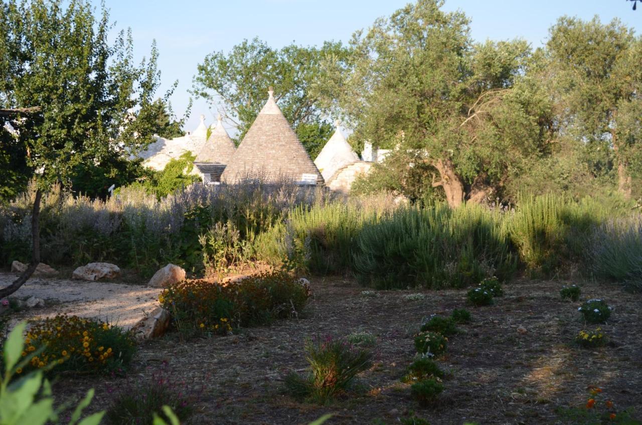 チステルニーノ I Trulli Di Acquarossaアパートホテル エクステリア 写真